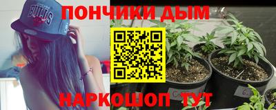 крисы Малоярославец