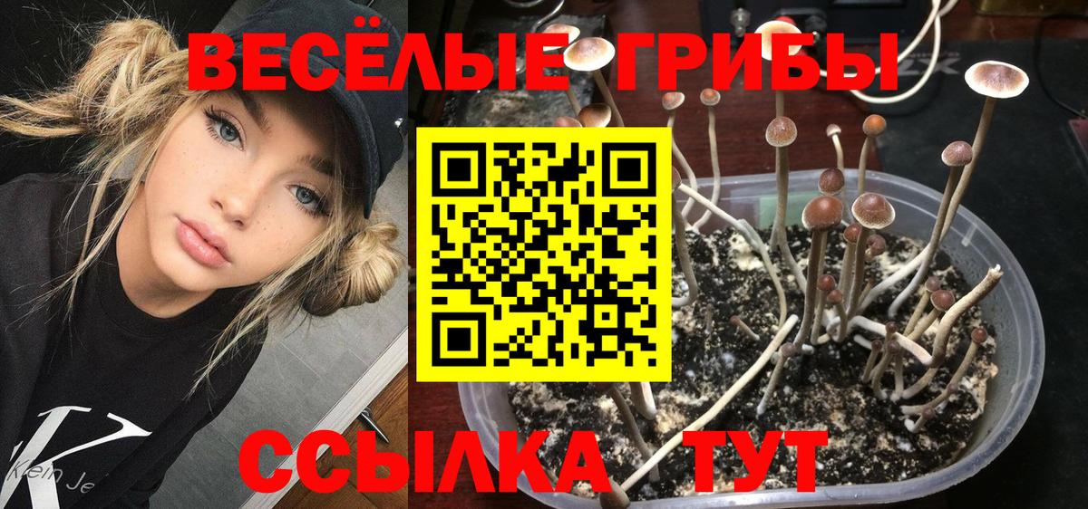 Галлюциногенные грибы MAGIC MUSHROOMS Южноуральск